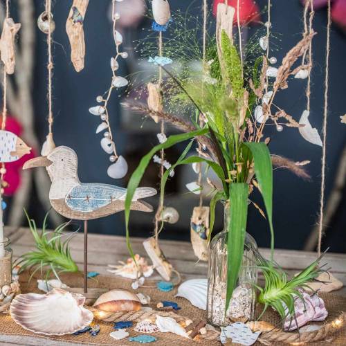 Floristik24 Deco tillandsie verde 16cm 4pcs