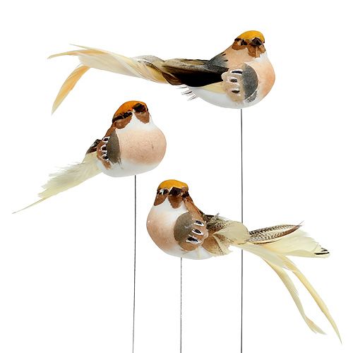 Floristik24 Deco pájaro sobre alambre Marrón 15cm 9pcs