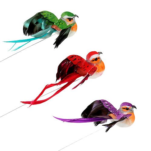 Floristik24 Pájaro decorativo surtido 12cm 9pcs