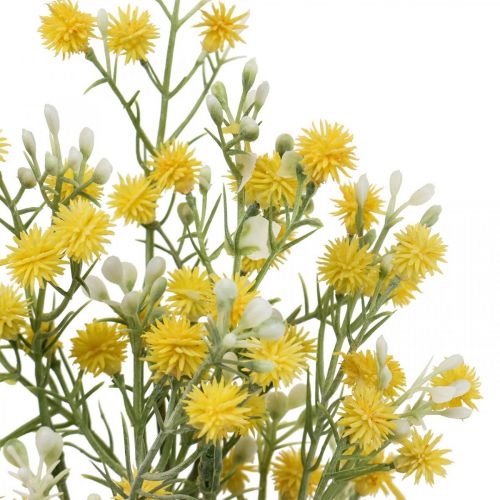 Floristik24 Ramas decorativas ramo de mimosa artificial acacia plateada Al. 35 cm