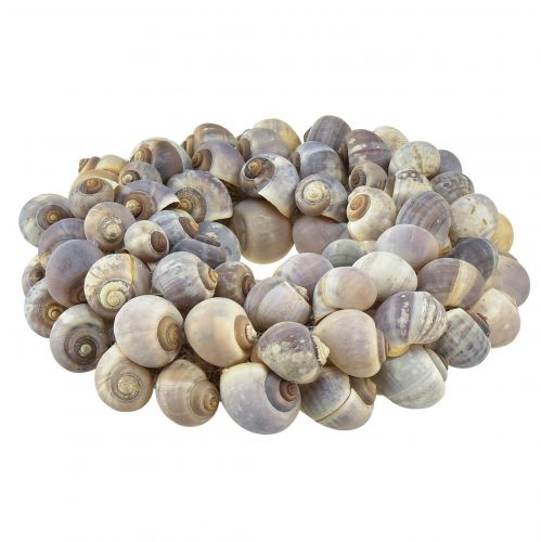 Artículo Corona decorativa de caracoles marítimos para colgar caracoles de mar Ø25cm