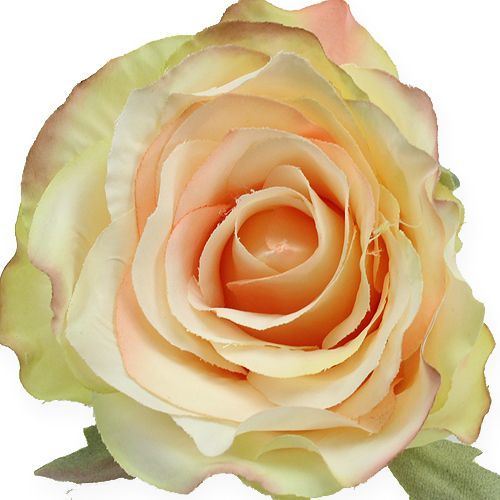 Artículo Cabezas de rosas artificiales Ø9cm 6pcs