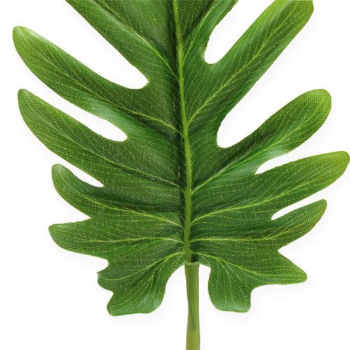 Artículo Láminas decorativas Philodendron Green B11cm L34cm 6pcs