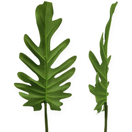 Floristik24 Láminas decorativas Philodendron Green B11cm L34cm 6pcs
