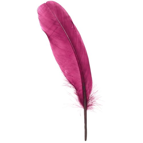 Floristik24 Plumas decorativas plumas de ganso burdeos suministros para manualidades 20 g x 2 piezas
