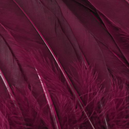 Artículo Plumas decorativas plumas de ganso burdeos suministros para manualidades 20 g x 2 piezas
