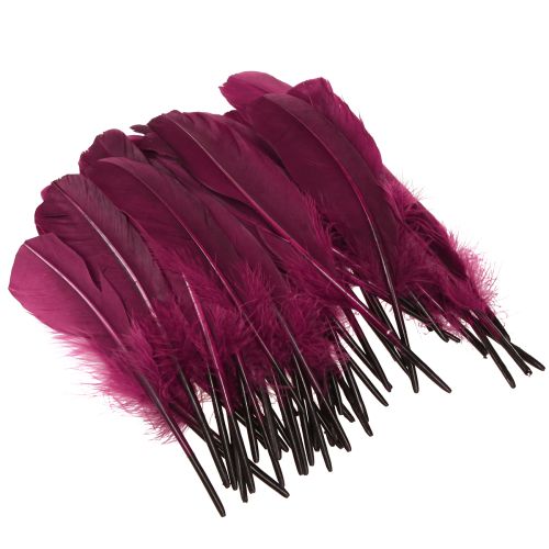 Artículo Plumas decorativas plumas de ganso burdeos suministros para manualidades 20 g x 2 piezas