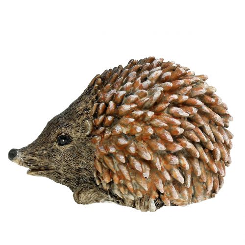 Floristik24 Figura decorativa erizo marrón 6,5cm