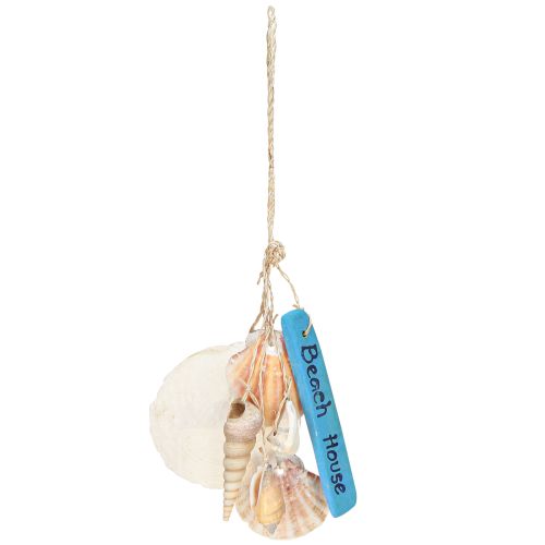 Artículo Decoración marinera Beach House Conchas y caracoles 25cm
