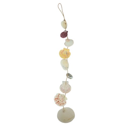 Floristik24 Percha decorativa decoración concha marítima natural Ø5–10cm 70cm