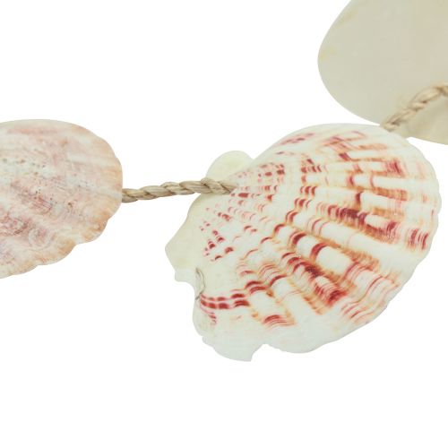Artículo Percha decorativa decoración concha marítima natural Ø5–10cm 70cm