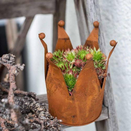 Floristik24 Corona decorativa, decoración de metal, pátina Ø15cm H11.5cm