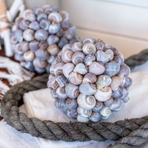 Floristik24 Bola decorativa caracoles de mar bola de concha decoración natural marítima Ø19cm