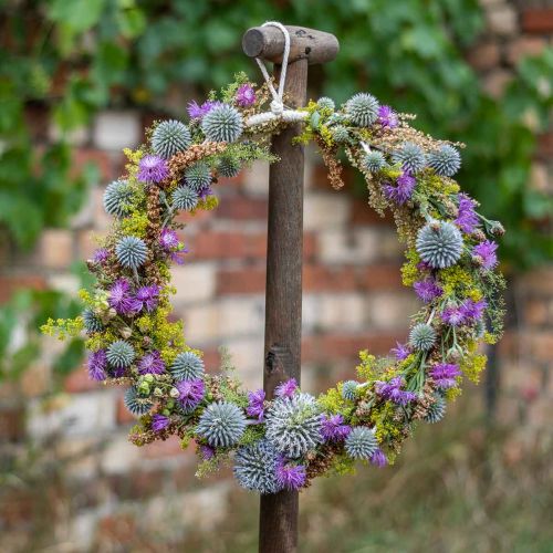 Floristik24 Anillo decorativo para colgar, decoración de ventanas, decoración de paredes colores naturales Ø30cm 4ud