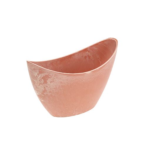 Floristik24 Cuenco decorativo naranja claro 20cm x 9cm H11.5cm, 1p