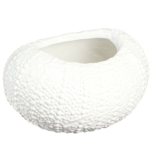Artículo Cuenco decorativo de cerámica ovalado marítimo en blanco 19x15x8,5cm