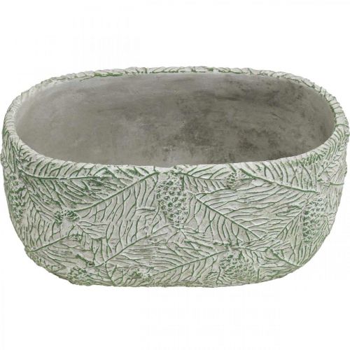 Floristik24 Cuenco decorativo de cerámica ovalado verde blanco gris ramas de abeto L22,5cm