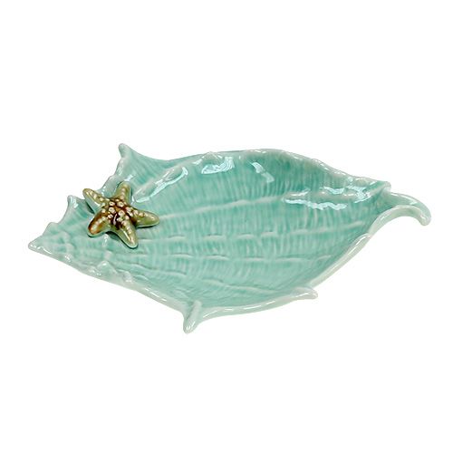 Floristik24 Deco bol concha 22cm