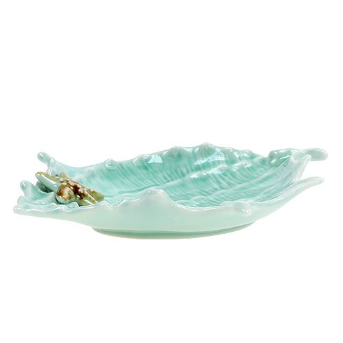 Floristik24 Deco bol concha 22cm