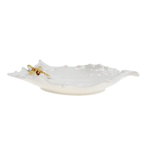 Floristik24 Deco bowl concha con estrella de mar 22cm