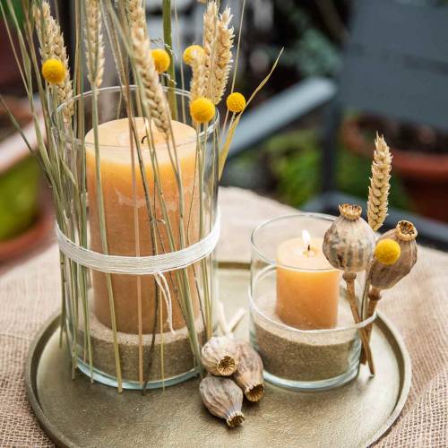 Floristik24 Plato decorativo arcilla Ø30cm oro