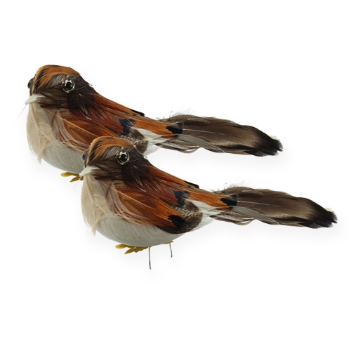 Floristik24 Pájaros decorativos 9cm en alambre 16 piezas