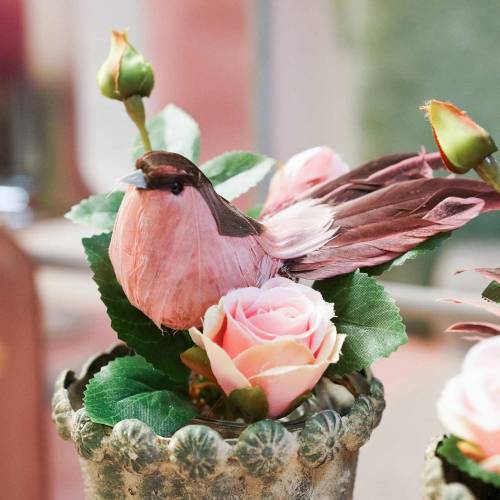 Floristik24 Pluma pájaro en alambre rosa 12cm 4uds