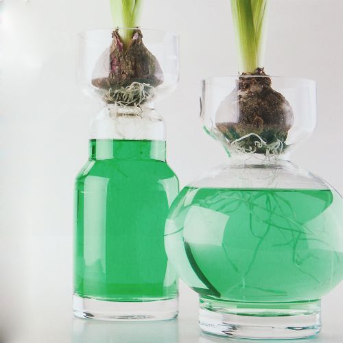 Floristik24 Agua decorativa verde 150ml