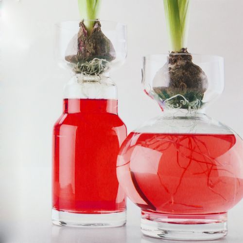 Floristik24 Deco agua roja 150ml