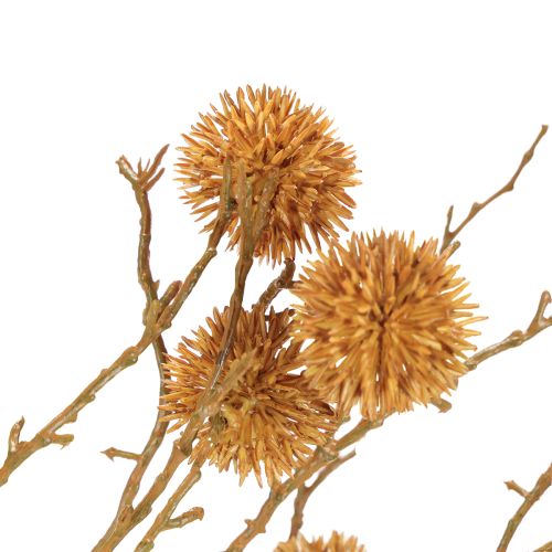 Artículo Rama decorativa de liquidámbar, fruta, decoración, color marrón ocre, 48 cm