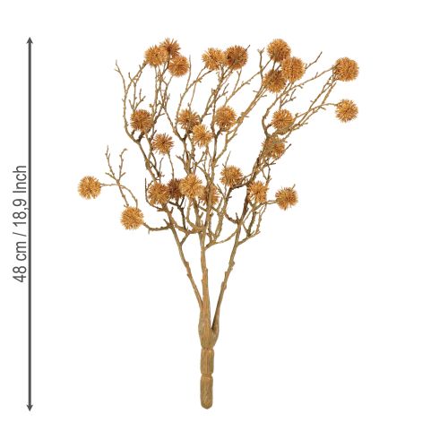 Artículo Rama decorativa de liquidámbar, fruta, decoración, color marrón ocre, 48 cm