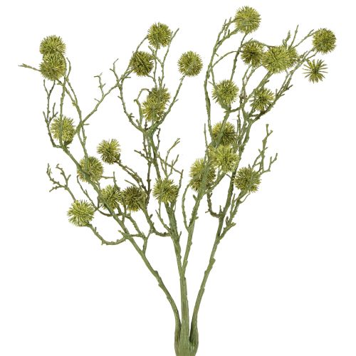 Floristik24 Rama decorativa de liquidámbar frutos verde claro 48cm