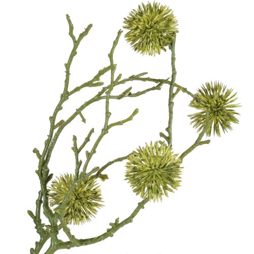 Artículo Rama decorativa de liquidámbar frutos verde claro 48cm