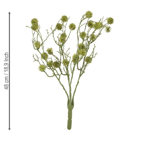 Artículo Rama decorativa de liquidámbar frutos verde claro 48cm
