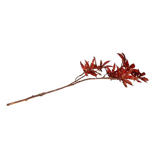 Floristik24 Deco rama roja oscura con mica 52cm
