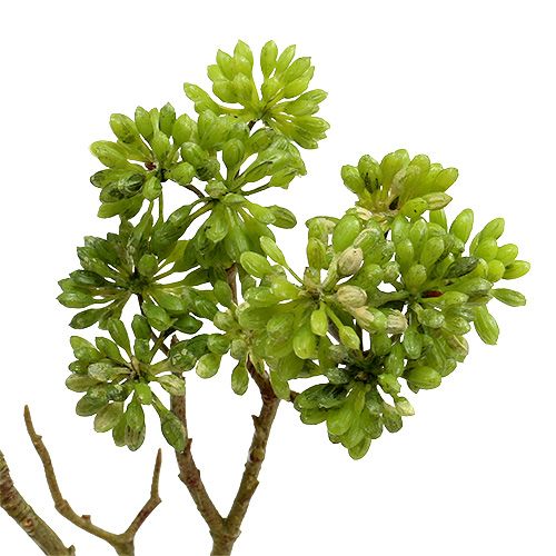 Floristik24 Deco rama verde 80cm