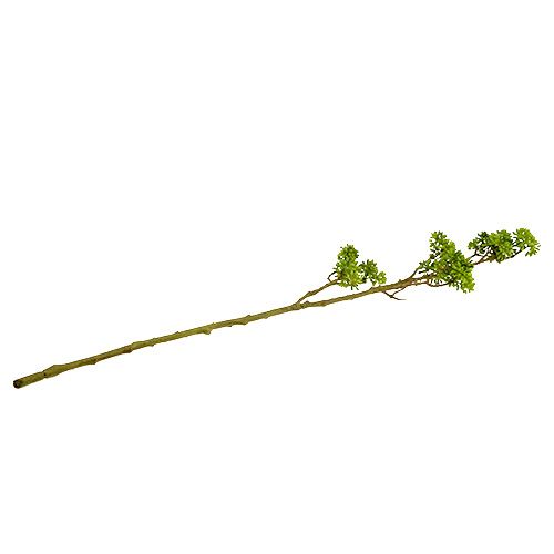 Floristik24 Deco rama verde 80cm