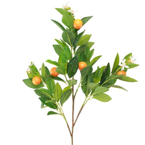 Floristik24 Rama decorativa de naranja y flores Rama de naranja artificial 78cm