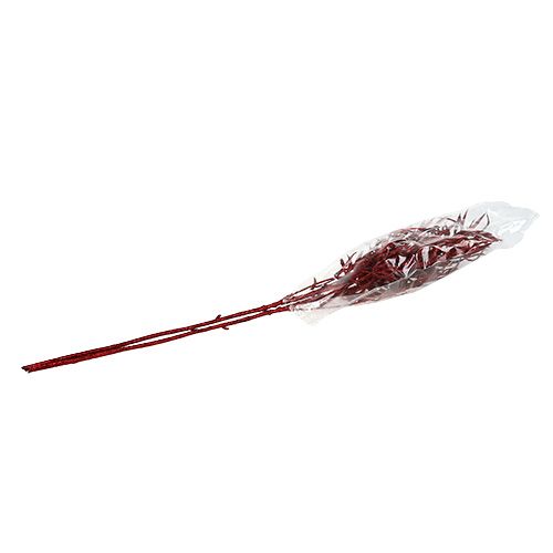 Floristik24 Rama decorativa roja con mica 69cm 2uds