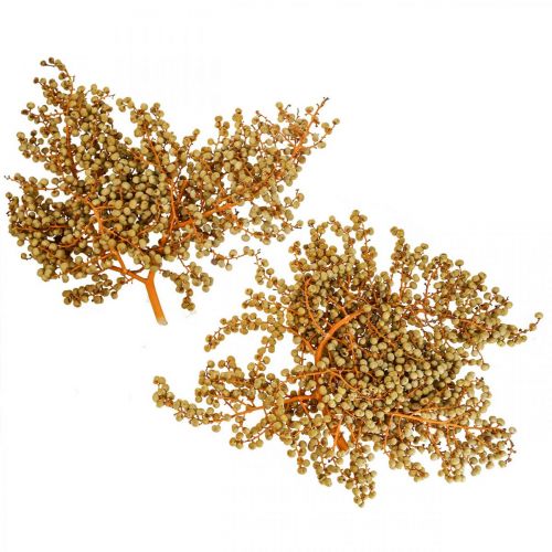 Ramas decorativas bayas palma de cáñamo seca palma Uva natural 1kg