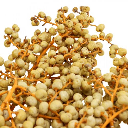 Floristik24 Ramas decorativas bayas palma de cáñamo seca palma Uva natural 1kg