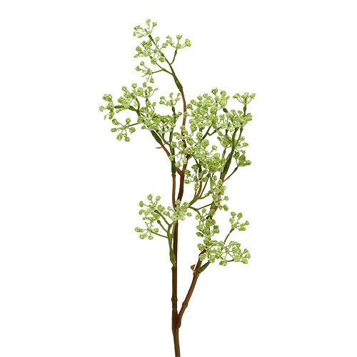 Floristik24 Deco rama verde L43cm 4pcs