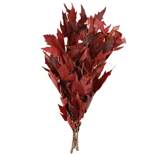 Floristik24 Ramas decorativas hojas de arce hojas decorativas de arce rojo 50-60cm 100g