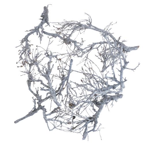 Artículo Deco ramas bonsai madera deco ramas blanco lavado 800g