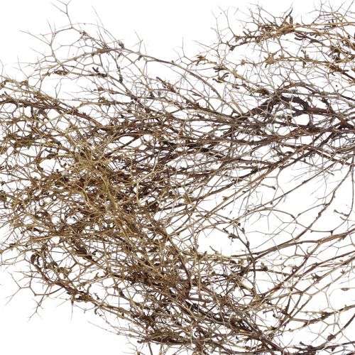 Artículo Deco ramas Arbusto de hierro ramas decoración natural madera naturaleza 250g