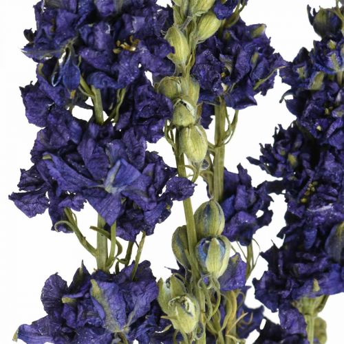 Artículo Delphinium seco, floristería seca, azul delphinium L64cm 25g