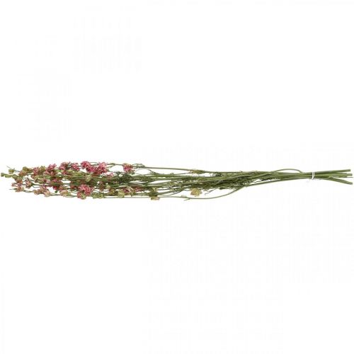 Artículo Delfinio de flores secas, Delfinio rosa, floristería seca L64cm 25g