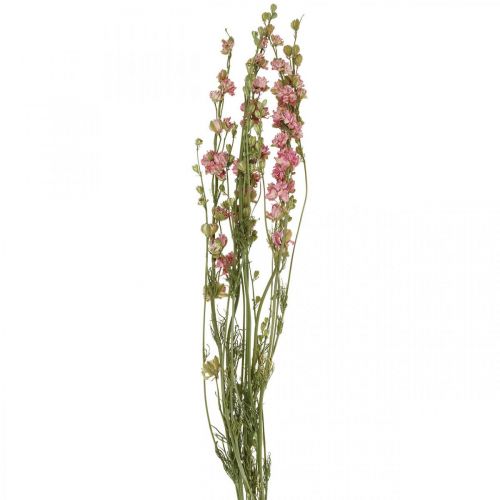 Floristik24 Delfinio de flores secas, Delfinio rosa, floristería seca L64cm 25g