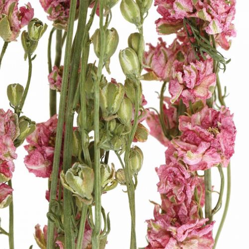 Artículo Delfinio de flores secas, Delfinio rosa, floristería seca L64cm 25g