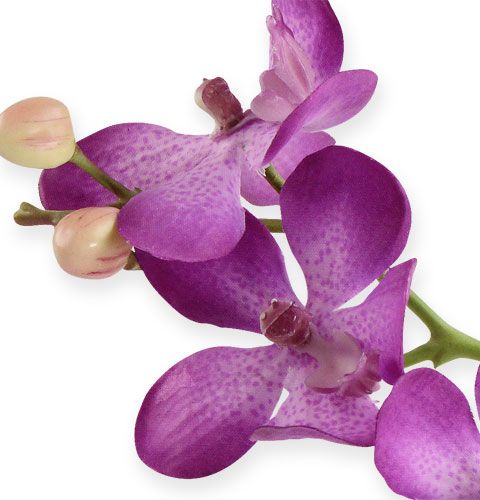 Floristik24 Lila orquídea 38cm